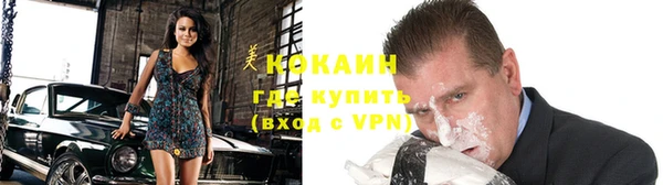 тгк Алзамай