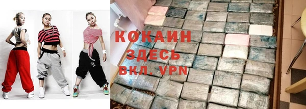 стаф Аркадак