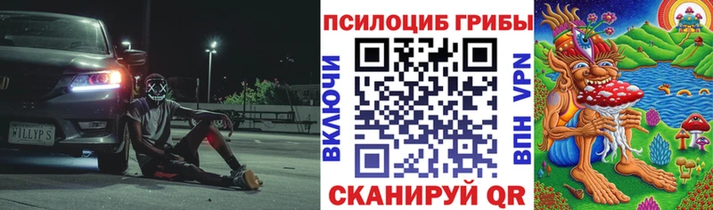 мега зеркало  как найти наркотики  Брянск  Галлюциногенные грибы Cubensis 